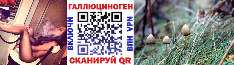 гидра ТОР  что такое наркотик  Белоозёрский  Галлюциногенные грибы Magic Shrooms 