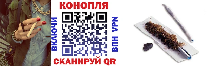 где купить   Белоозёрский  Шишки марихуана конопля 
